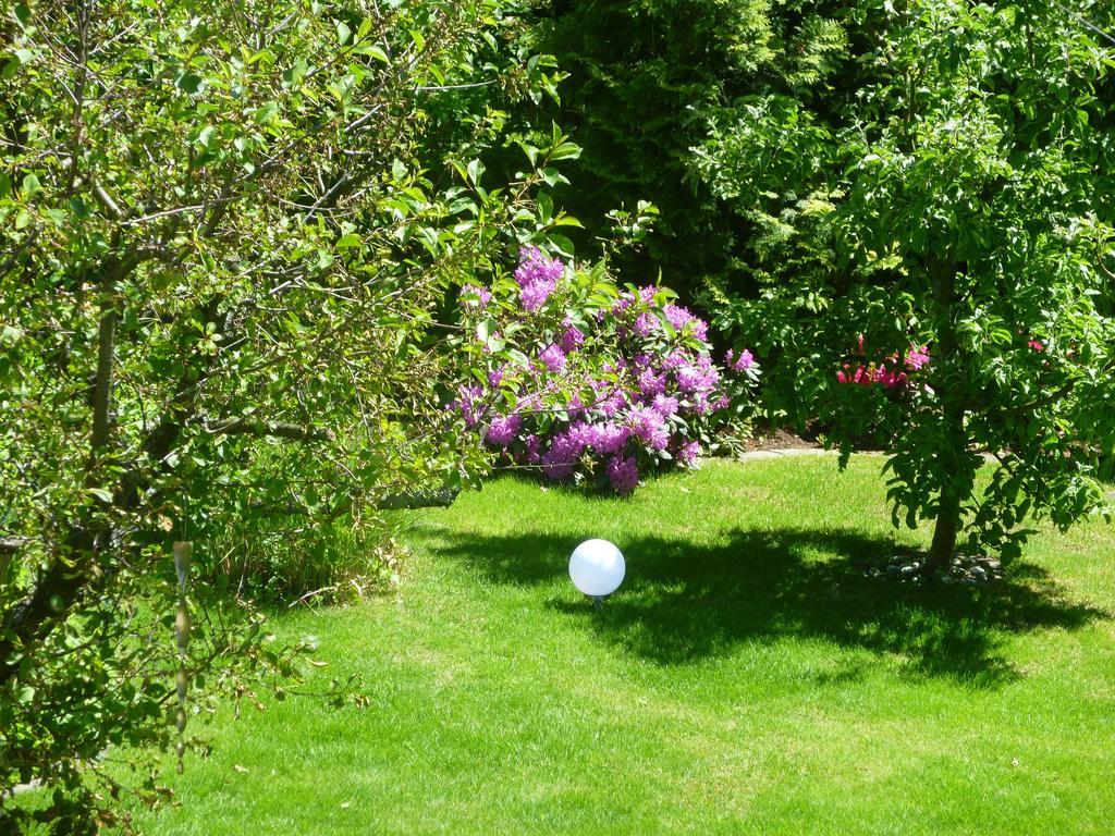 Ferienwohnung Baude Bad Harzburg Oda fotoğraf